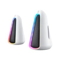 Thunderobot Thor S10 Pro RGB 2.0 Channel Dual Mode Bluetooth Speaker 
